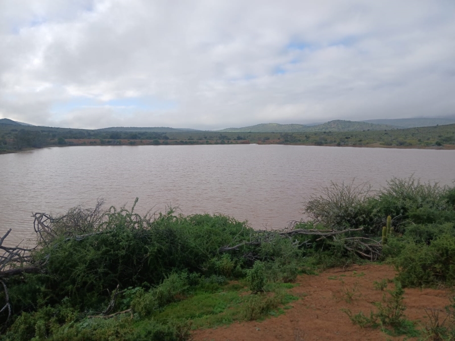 4 Bedroom Property for Sale in Uitenhage Rural Eastern Cape
